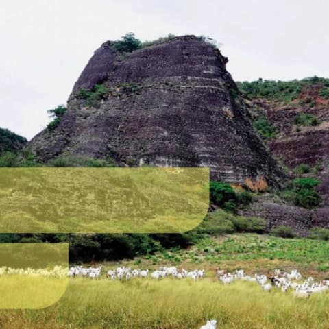 Análise de Riscos e Vulnerabilidades Climáticas