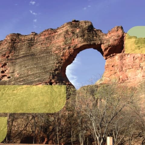 Plano de Ação Climática do Estado do Piauí (PLAC)