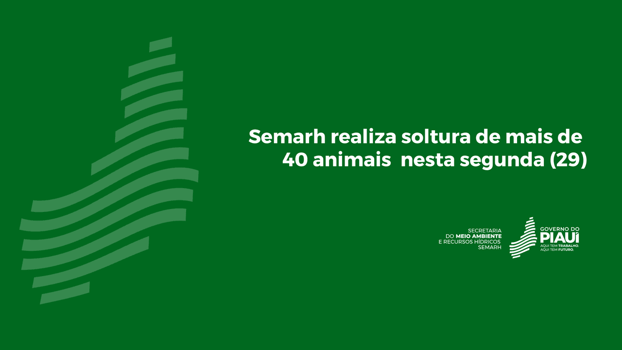 Semarh realiza soltura de mais de 40 animais nesta segunda (29)