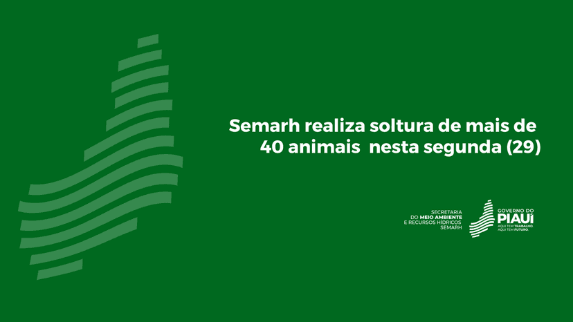 semarh-realiza-soltura-de-mais-de-40-animais-nesta-segunda-29