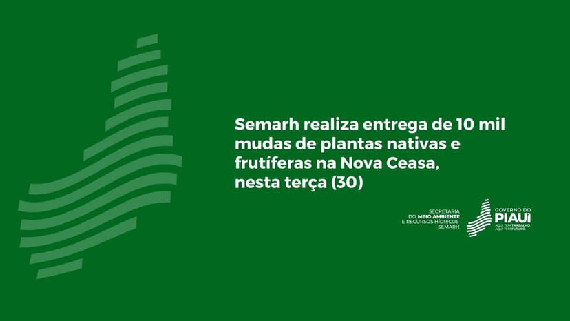 semarh-realiza-entrega-de-10-mil-mudas-de-plantas-nativas-e-frutiferas-na-nova-ceasa-nesta-terca-30
