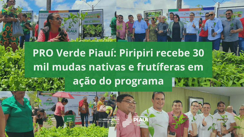 pro-verde-piaui-piripiri-recebe-30-mil-mudas-nativas-e-frutiferas-em-acao-do-programa