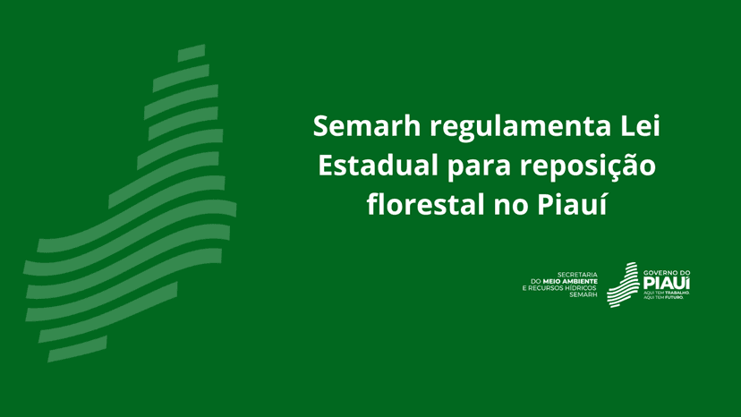 semarh-regulamenta-lei-estadual-para-reposicao-florestal-no-piaui