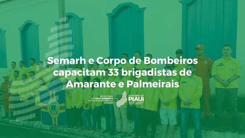 semarh-e-corpo-de-bombeiros-capacitam-33-brigadistas-de-amarante-e-palmeirais