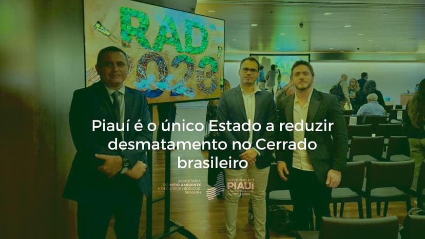piaui-e-o-unico-estado-a-reduzir-desmatamento-no-cerrado-brasileiro