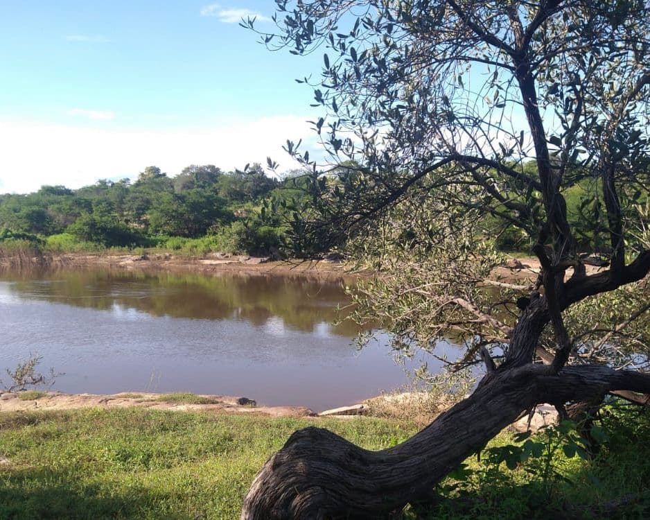 Área em Buriti dos Montes