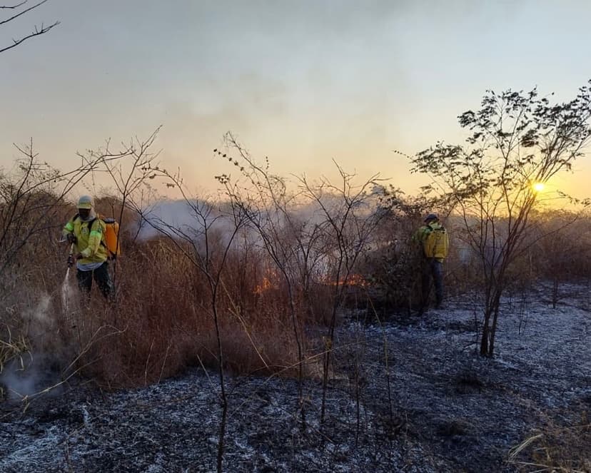 focos-de-incendio-no-piaui-diminuem-24-em-comparacao-ao-ano-de-2023