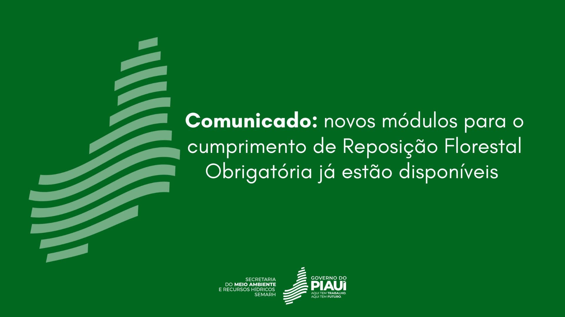 Comunicado: novos módulos para o cumprimento de Reposição Florestal Obrigatória já estão disponíveis