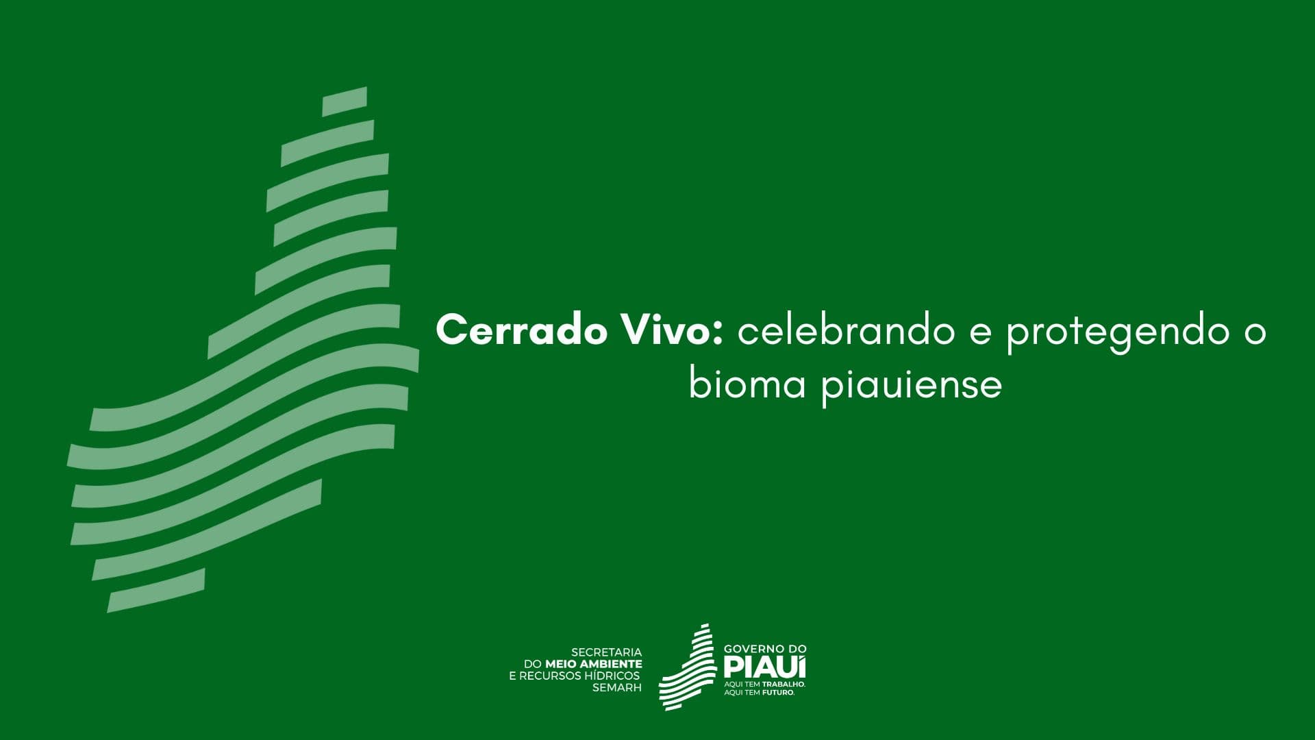 Cerrado Vivo: celebrando e protegendo o bioma piauiense
