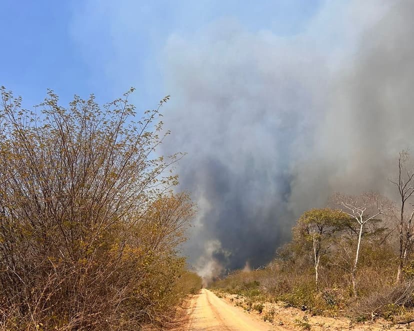 inteligencia-artificial-antecipa-cenarios-e-faz-previsao-de-onde-ocorrera-incendios-no-piaui
