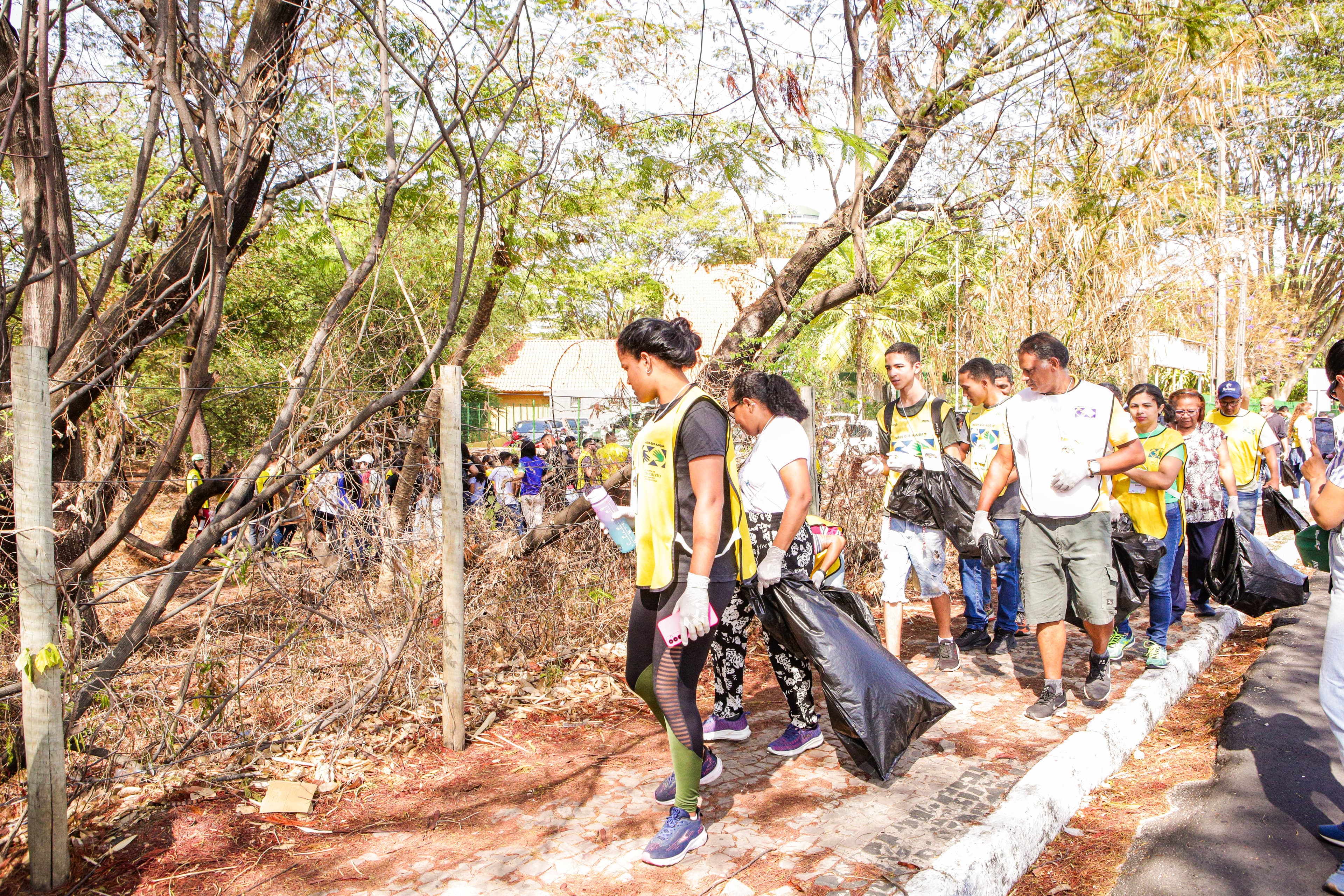 Dia Mundial da Limpeza