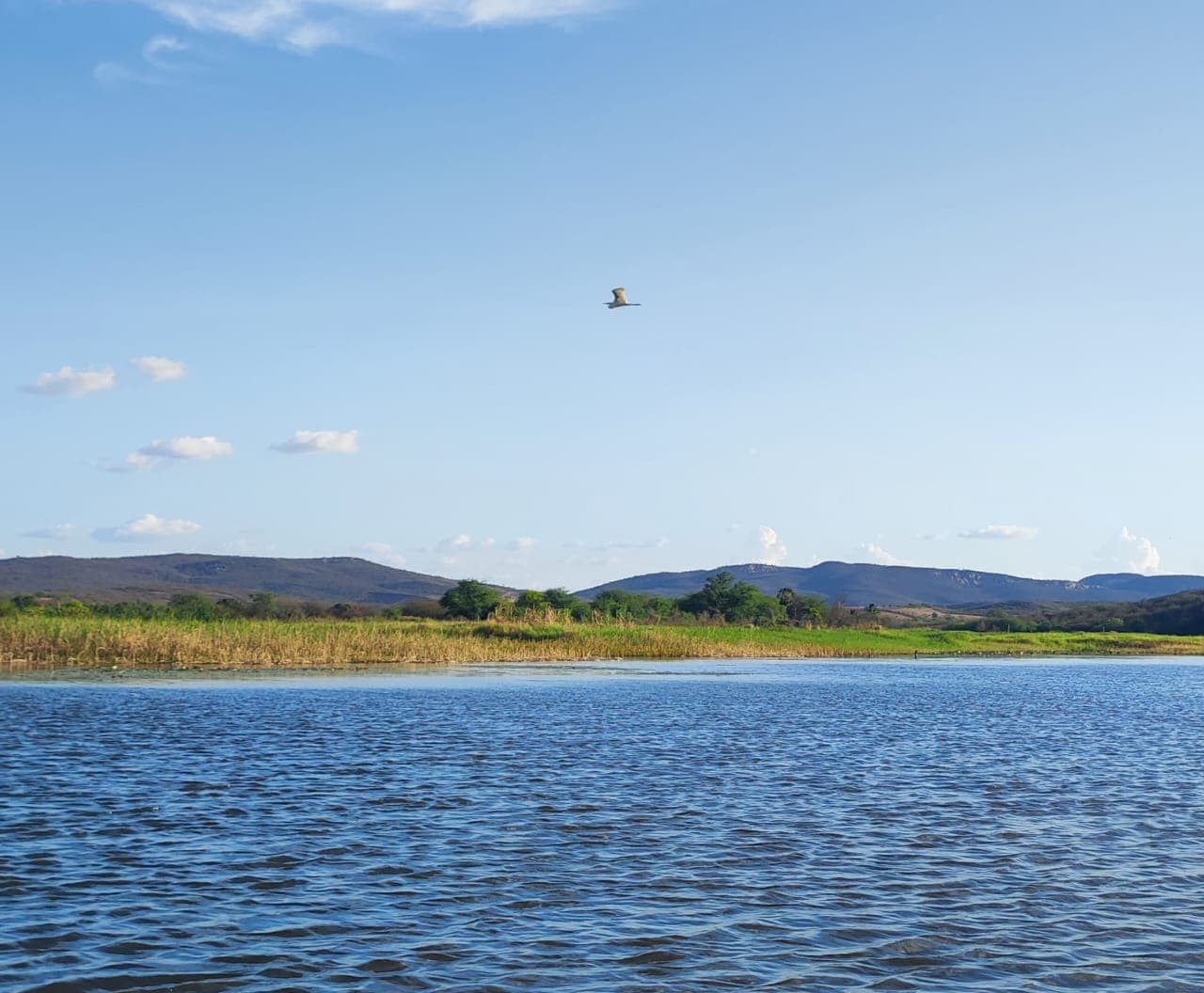 Área de Proteção Ambiental de Ingazeiras