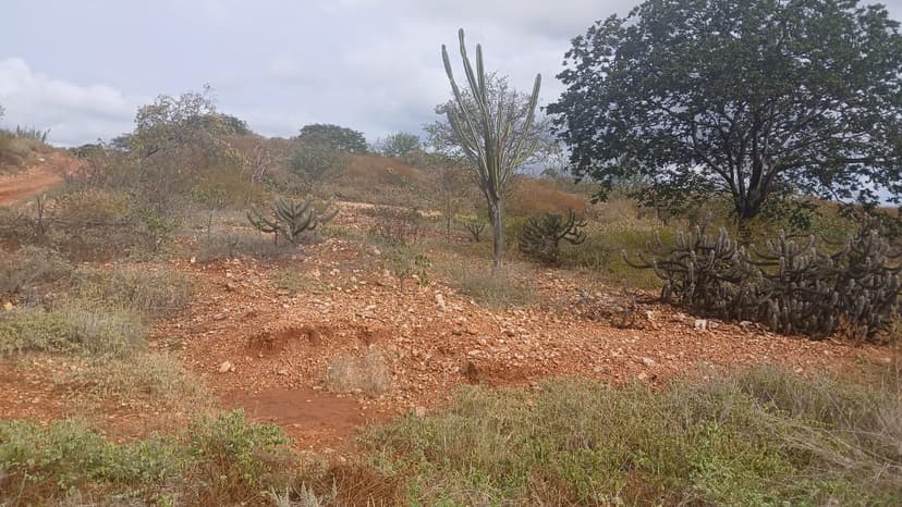 seca-verde-afeta-127-municipios-piauienses-alerta-semarh