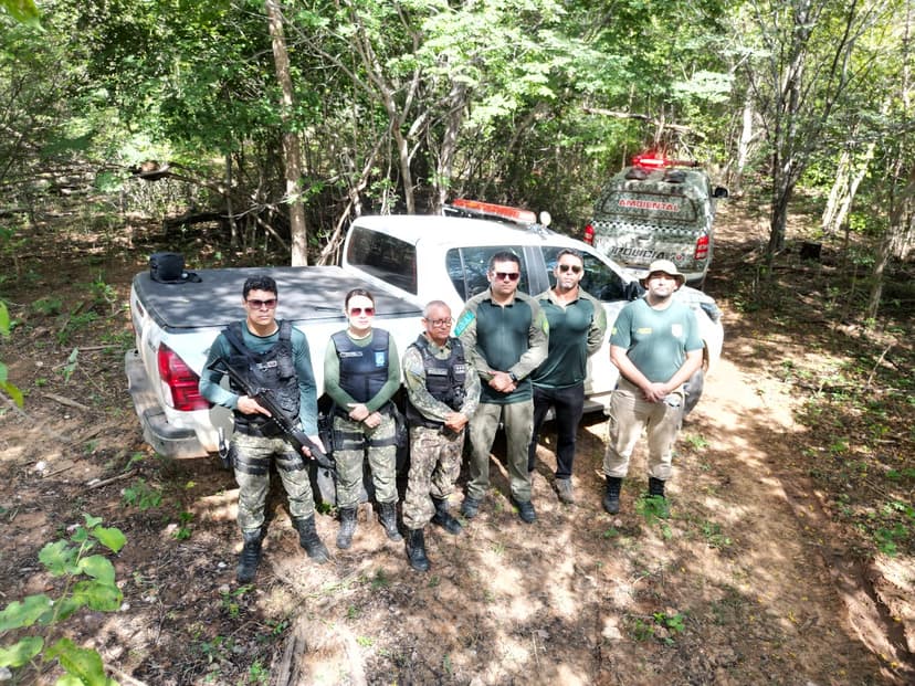 semarh-realiza-operacao-carcara-01-e-aplica-multa-de-r-550-mil-em-crimes-de-desmatamento-ilegal-no-piaui