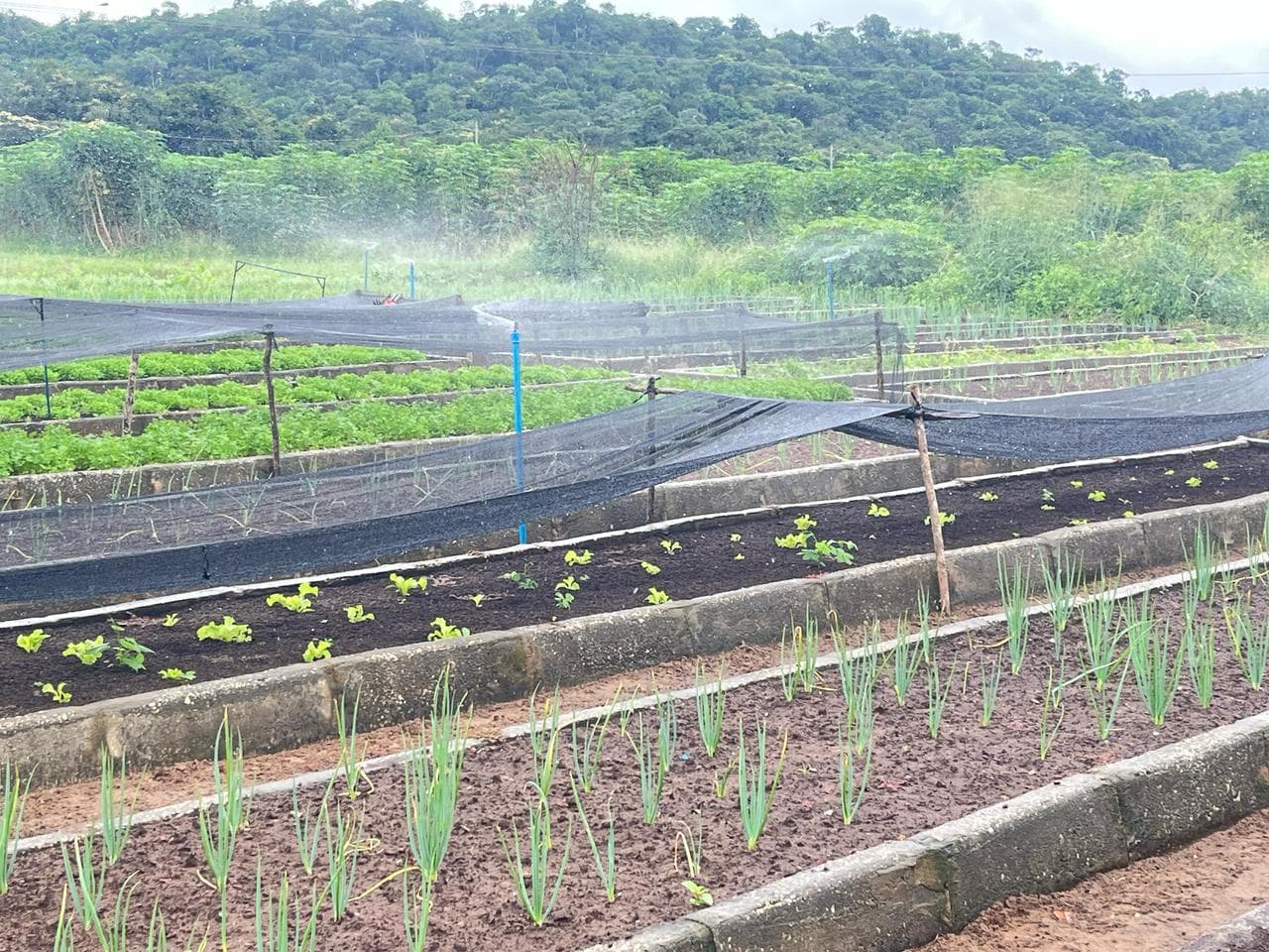 Eles conheceram as atividades de ressocialização desenvolvidas no local.