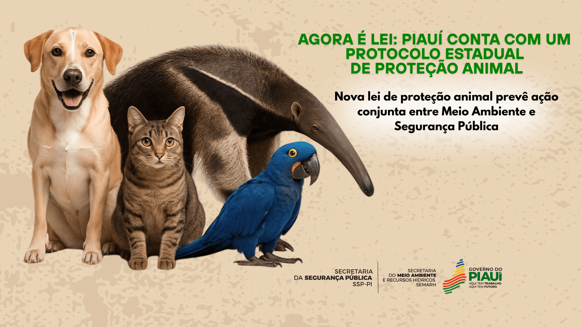 Piauí tem nova lei de proteção animal com ação conjunta entre Meio Ambiente e Segurança Pública