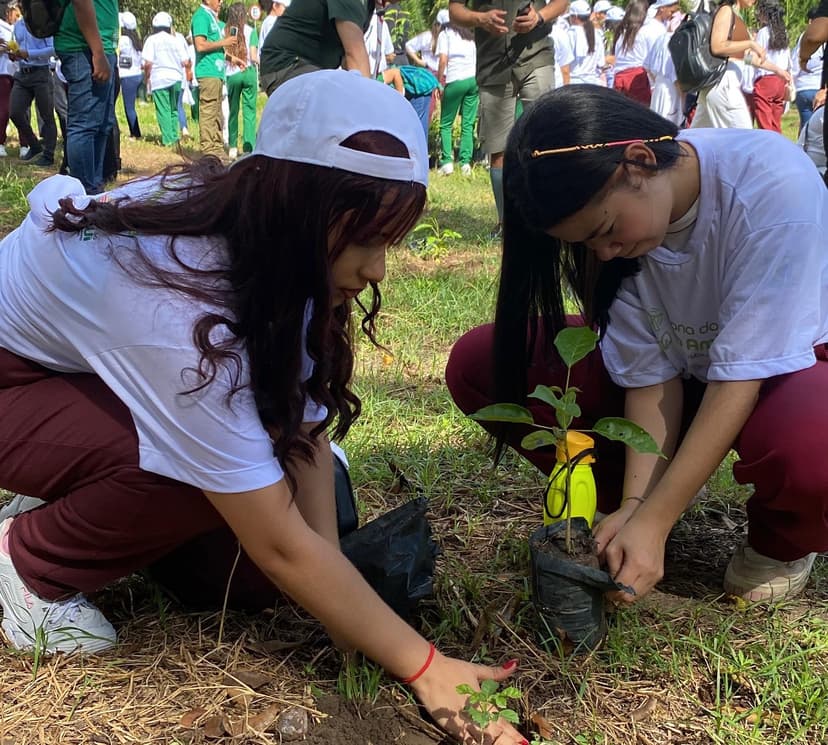 plantio-de-500-mudas-de-ipe-marca-inicio-da-semana-do-meio-ambiente-em-teresina