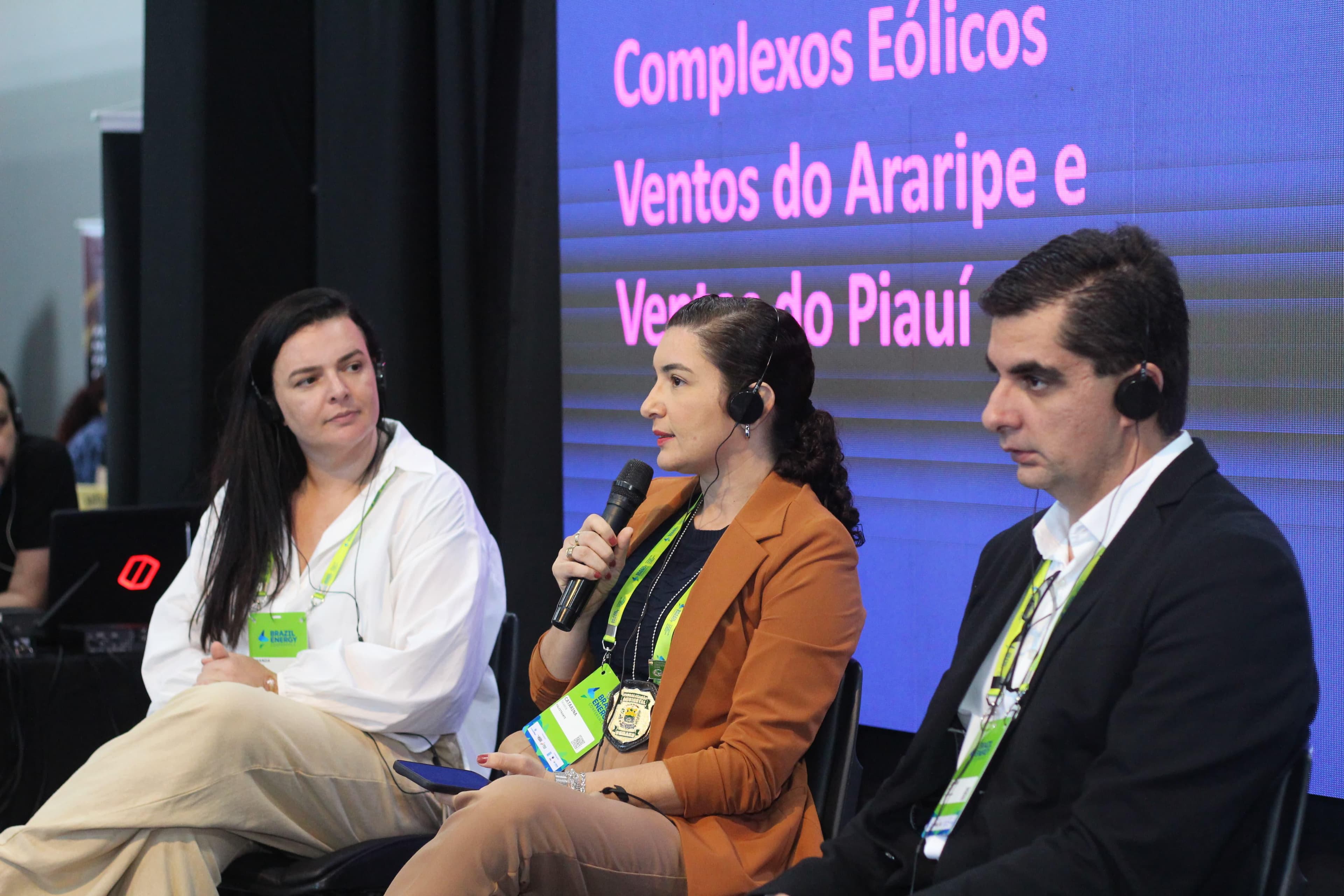 A atuação da SEMARH se destacou em quatro painéis específicos.