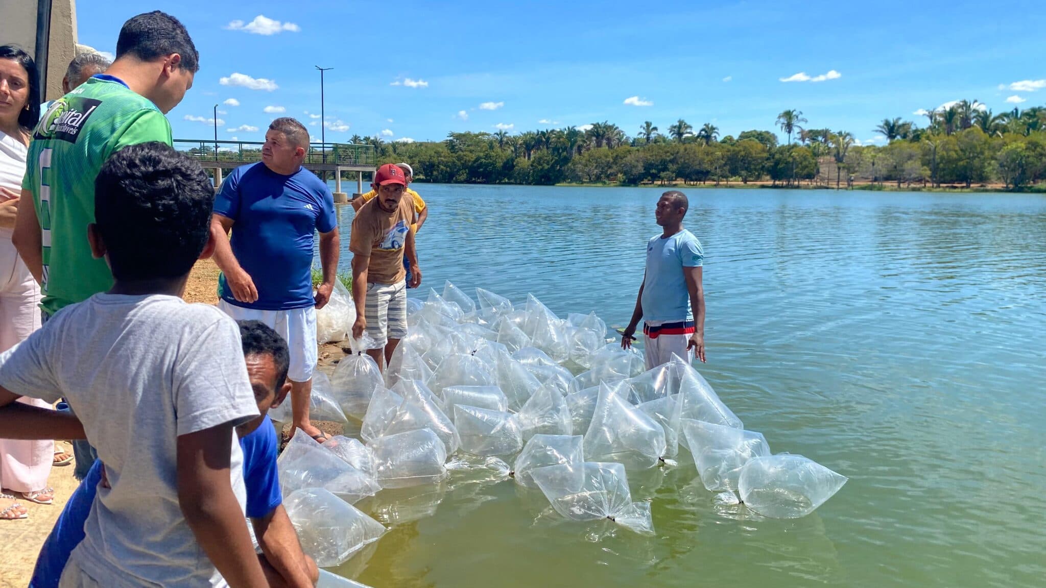 Semarh distribui mudas de árvores e 225 mil filhotes de peixes em quatro municípios do Piauí.