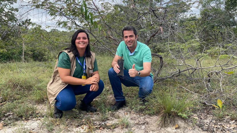 semarh-inicia-festival-de-inverno-de-pedro-ii-com-acoes-de-reflorestamento-e-doacao-de-mudas