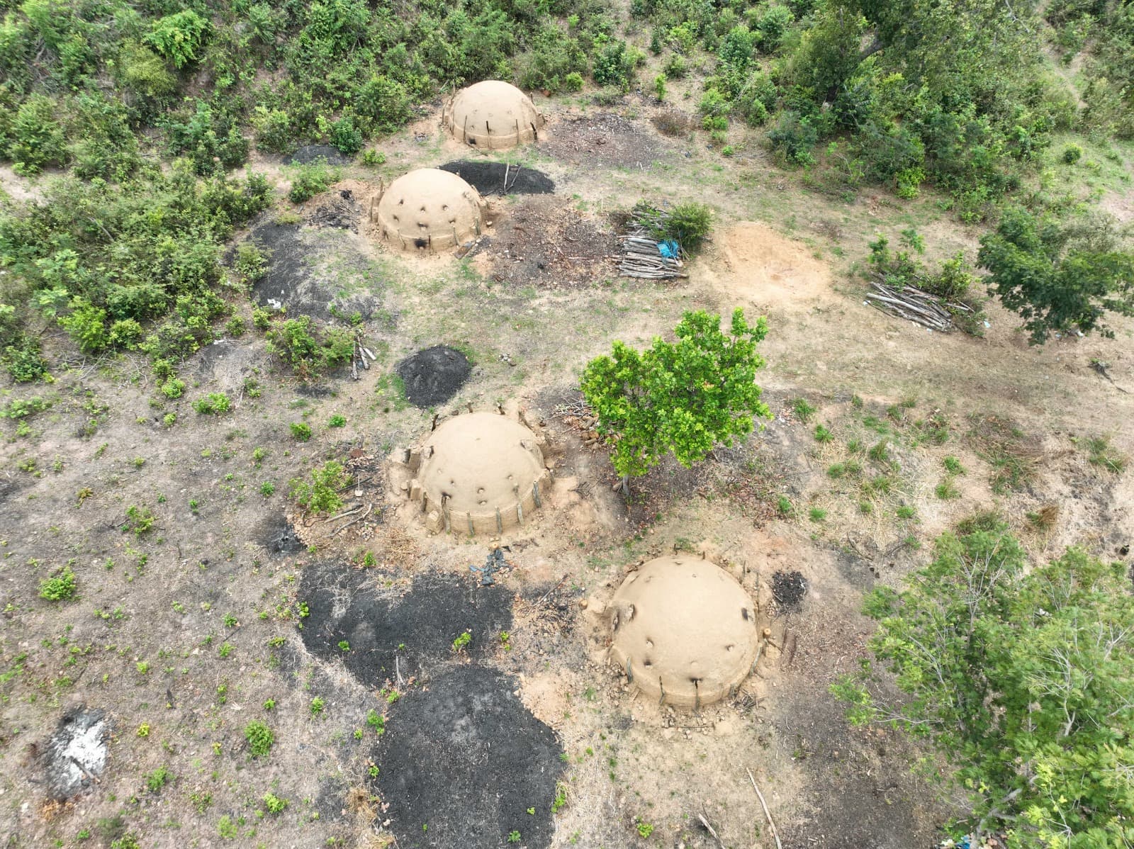 Maior operação contra fornos clandestinos de carvão.