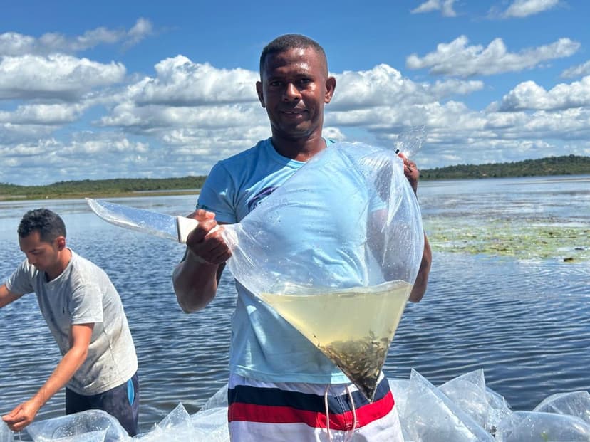 semarh-intensifica-acoes-de-peixamento-e-reforca-compromisso-com-piscicultura-e-preservacao-ambiental
