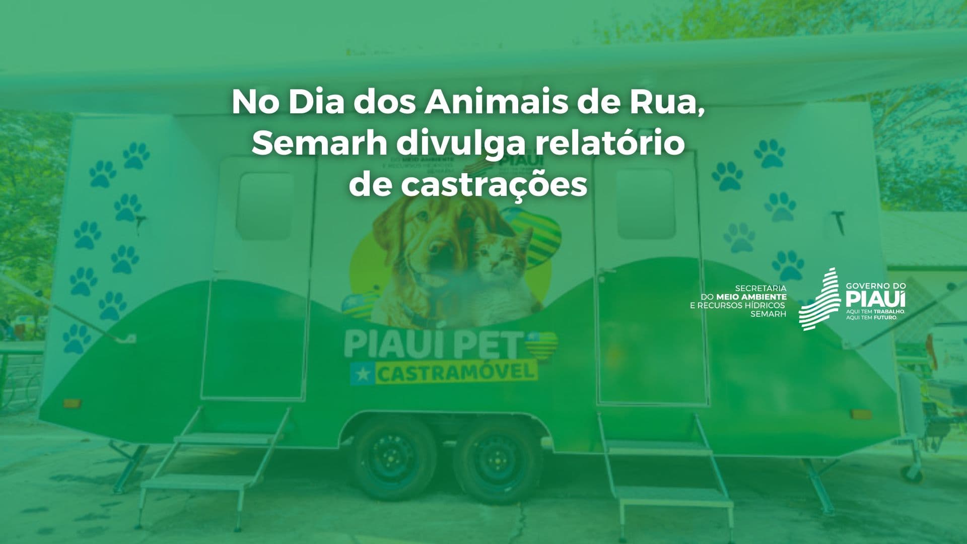 No Dia dos Animais de Rua, Semarh divulga relatório de castrações