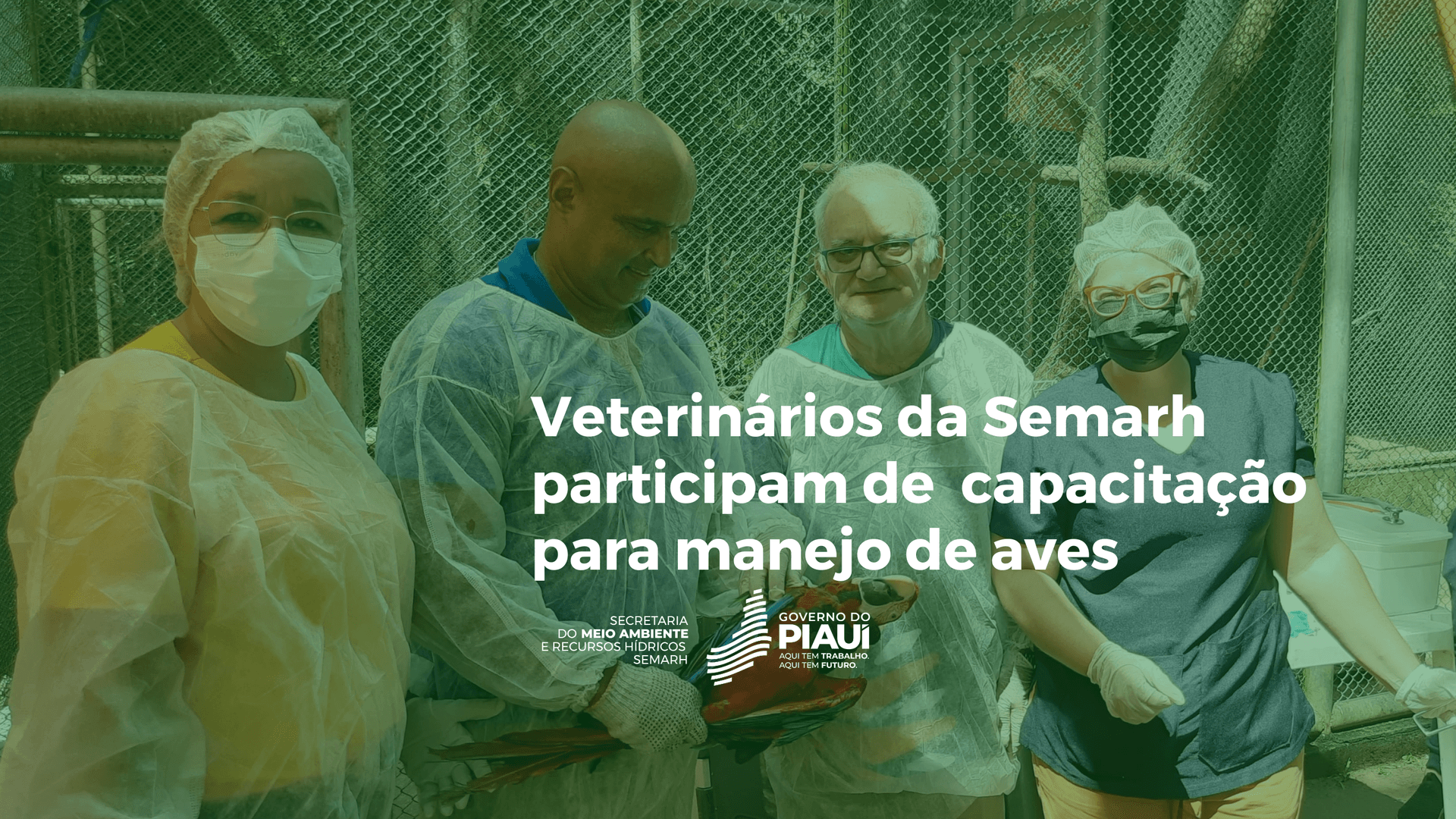 Veterinários da Semarh participam de capacitação para manejo de aves