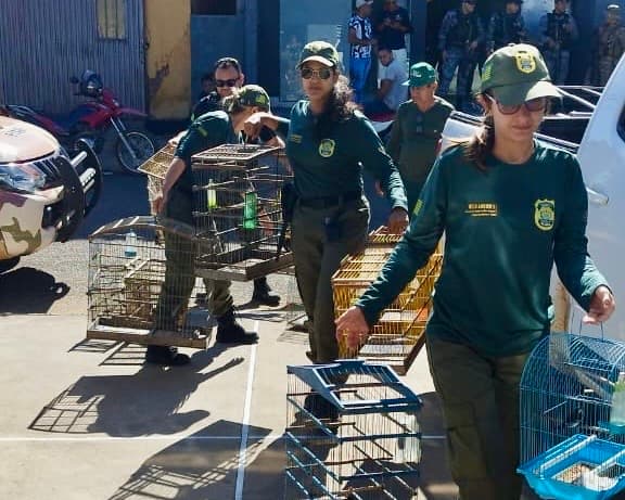 Operação Vale do Sambito