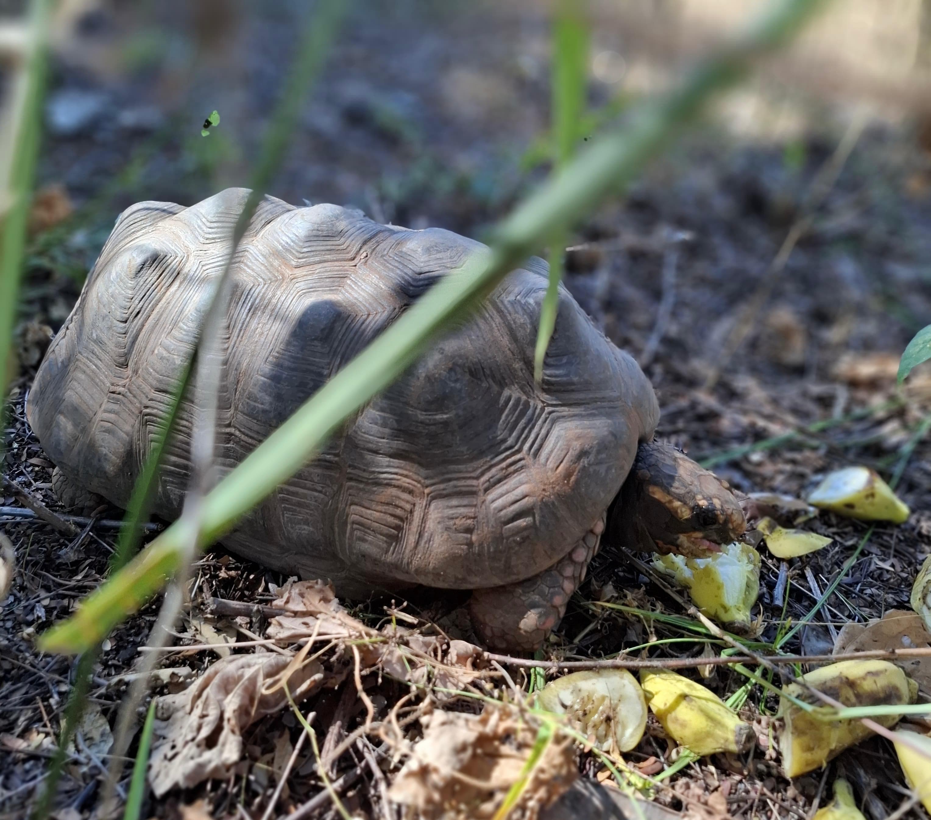 Soltura na região de Valença
