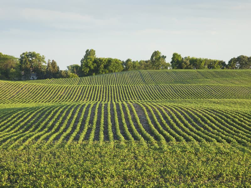 Piauí é o estado do Matopiba que menos emitiu CO2