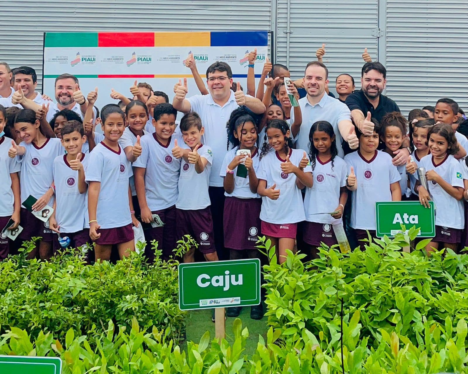 PRO Verde Piauí: com distribuição de mais de 1 milhão de mudas, programa reforça áreas verdes do Piauí