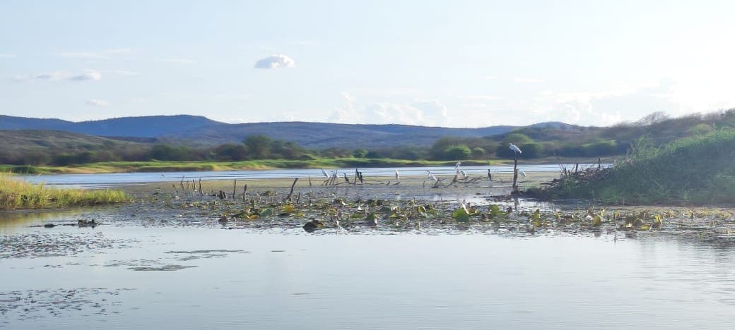 Área de Proteção Ambiental de Ingazeiras