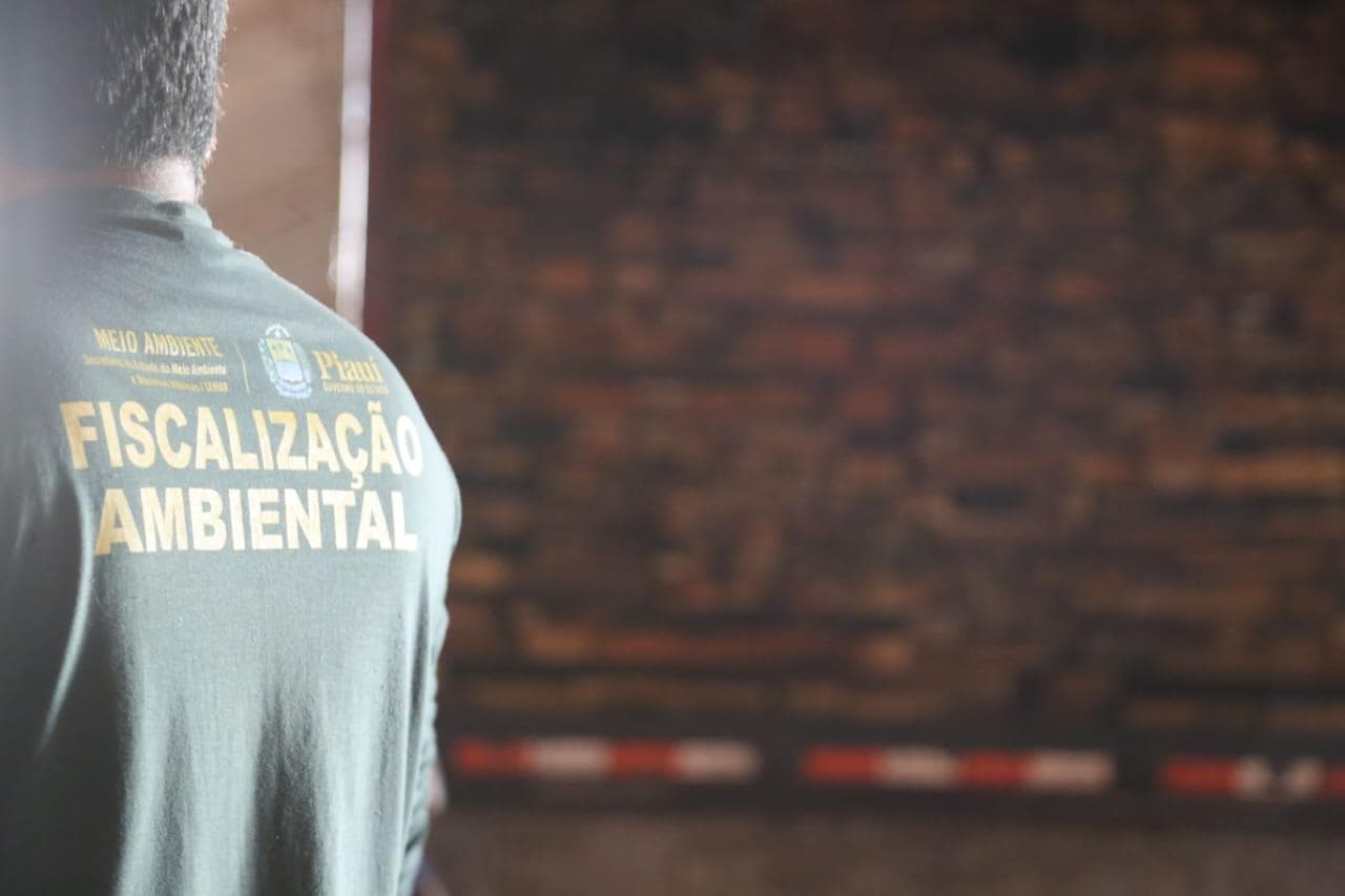 A madeira apreendida será destinada conforme a legislação vigente, possivelmente para doação.