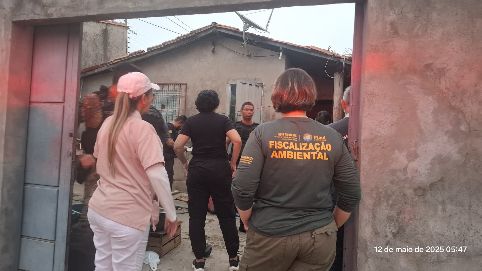 Semarh participa da Operação Falso Vet contra castrações clandestinas em Teresina