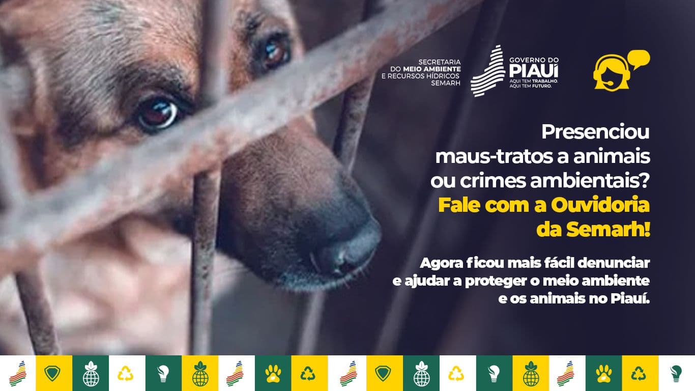 Semarh recebe 130 denúncias de maus-tratos a animais em abril