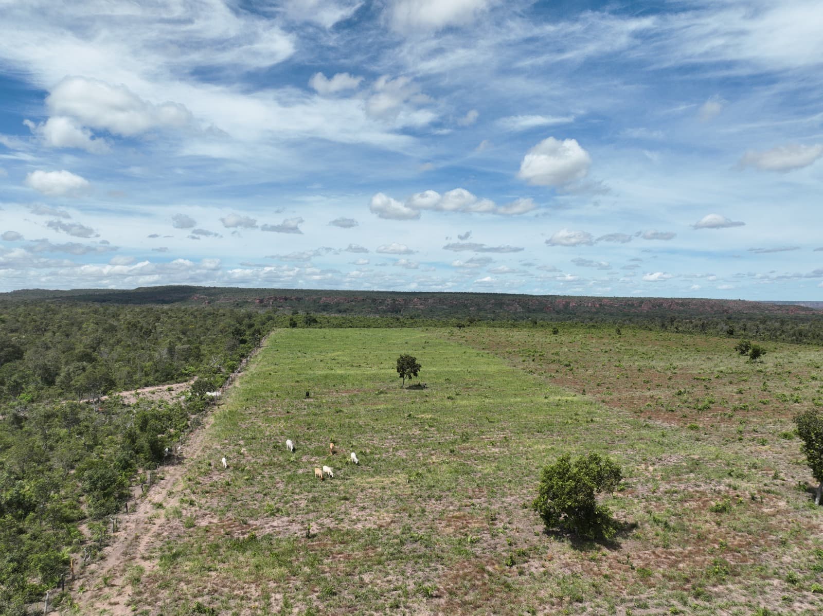 12 propriedades foram fiscalizadas.