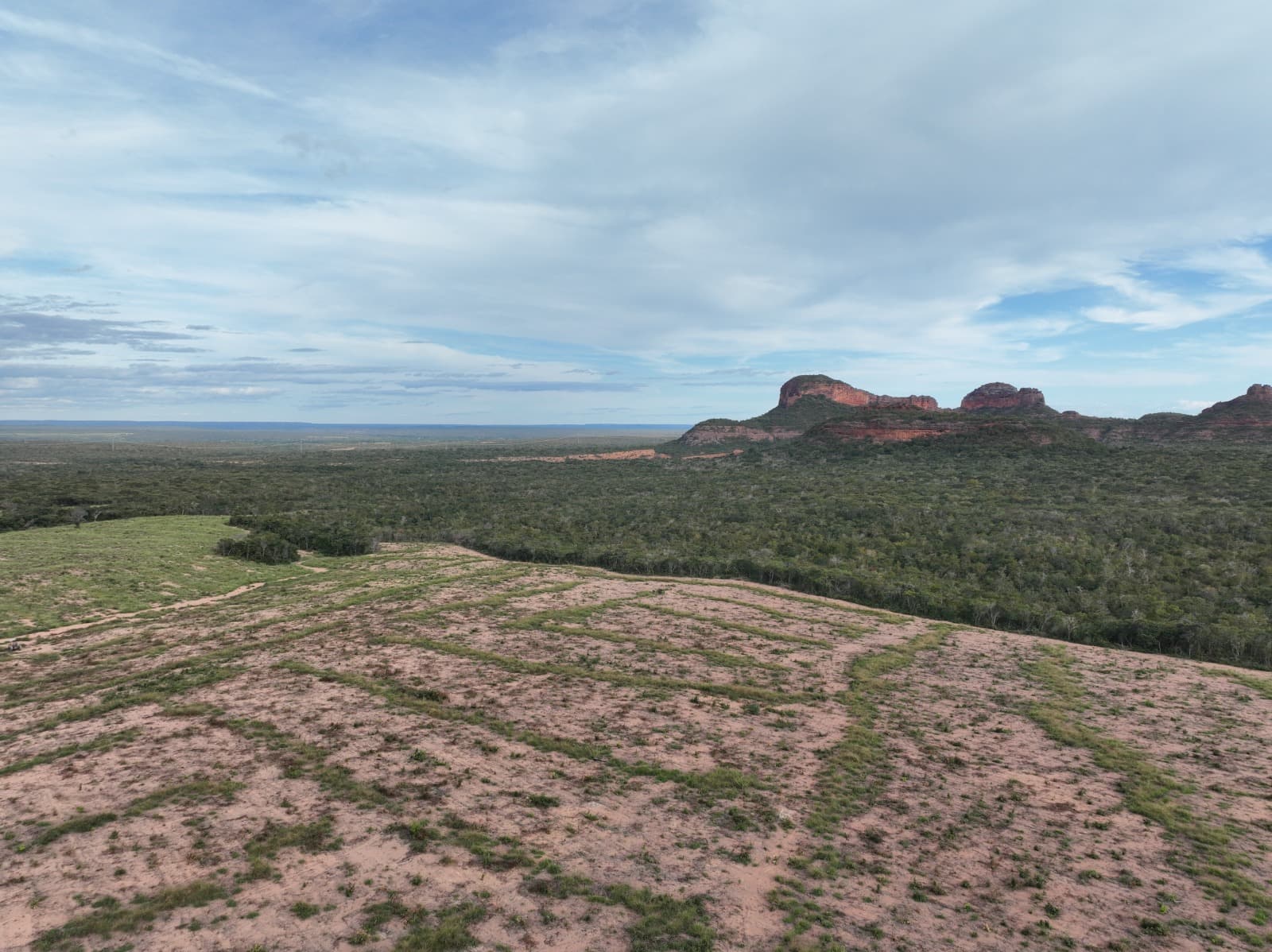 Aproximadamente 4 mil hectares de áreas desmatadas sem autorização.