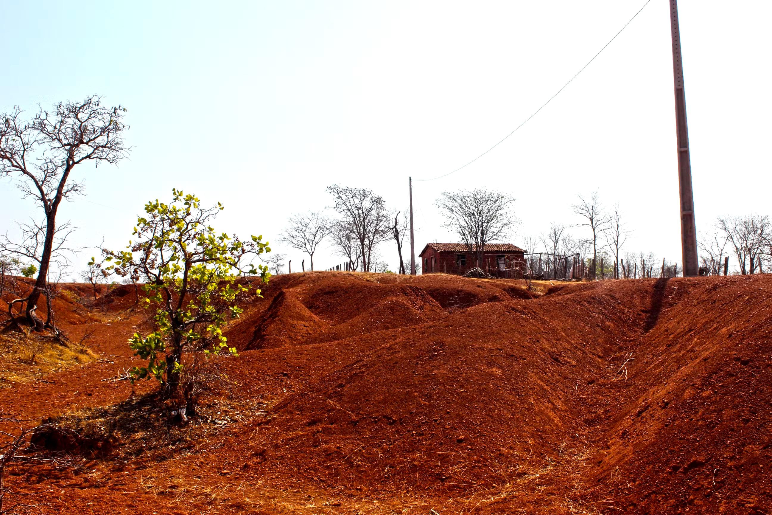 Piauí quer virar referência no combate à desertificação no Brasil.